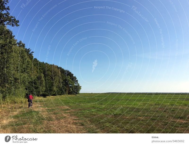 Urlaubsverkehr tageslicht sommer sonnenlicht radfahren landschaft wald wiese bäume himmel urlaub reisen erholung querfeldein acker horizont sportlich abenteuer