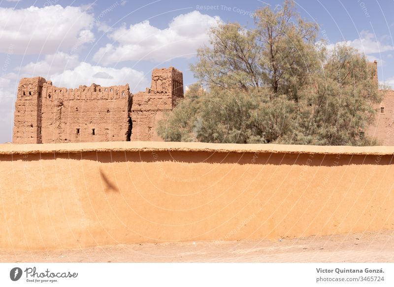 Marokkanische Straße mit Vogelschatten Afrikanisch Berber marrakech Marokkaner Marokko Lehmziegel antik Antiquität Bogen Architektur Kunst Gebäude Hof Tür