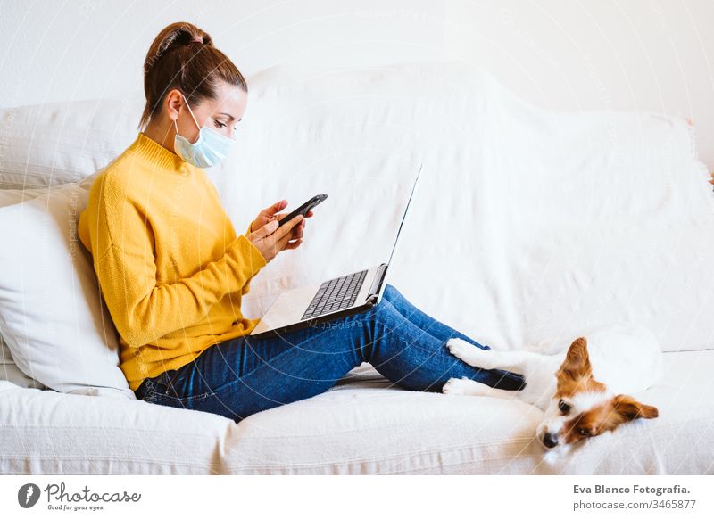 junge Frau, die mit Laptop und Mobiltelefon arbeitet, daneben süßer kleiner Hund. Auf der Couch sitzend, Schutzmaske tragend. Bleiben Sie zu Hause Konzept während Coronavirus covid-2019