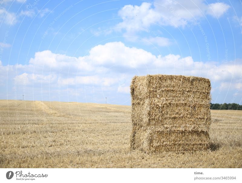 Fresspaket himmel stehen horizont sonnenlicht wolken acker getreide getreidefeld strohballen abgemäht gestapelt heuballen tierfutter landwirtschaft stückgut