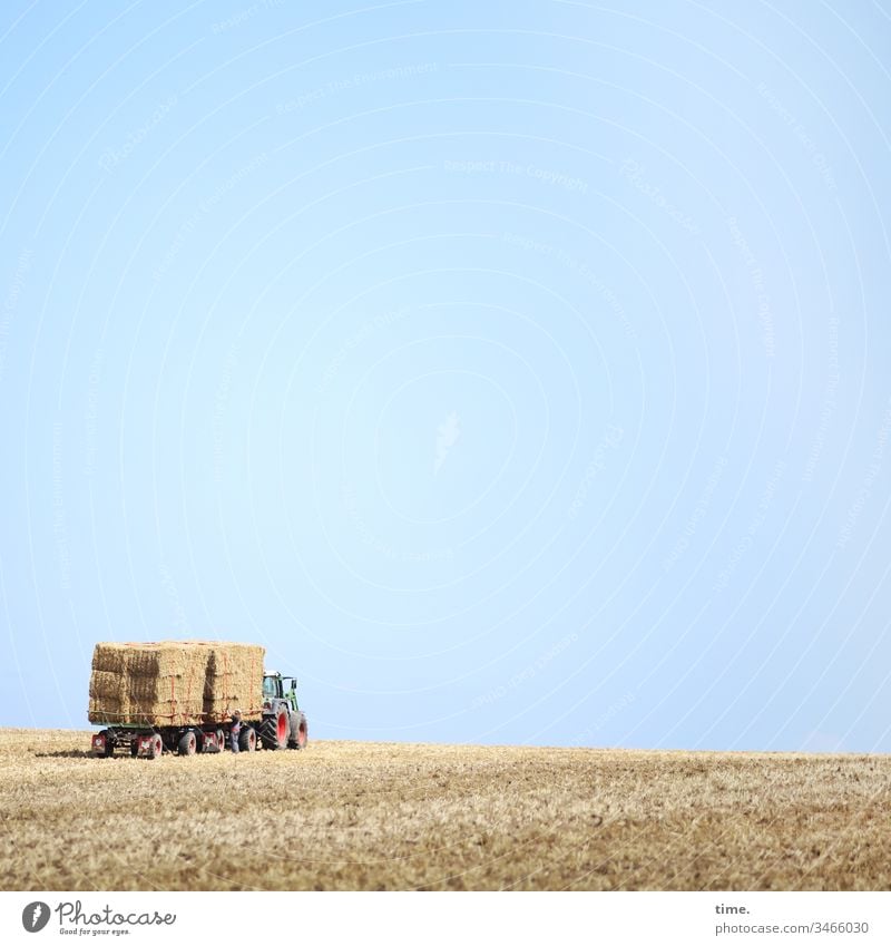 Fresspaketservice himmel stehen horizont sonnenlicht acker getreide getreidefeld strohballen abgemäht gestapelt heuballen tierfutter landwirtschaft stückgut