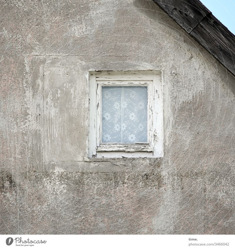 Deko, egal wie | alt haus fenster gardine mauer dach damals früher nostalgisch kaputt stein wand putz fensterrahmen