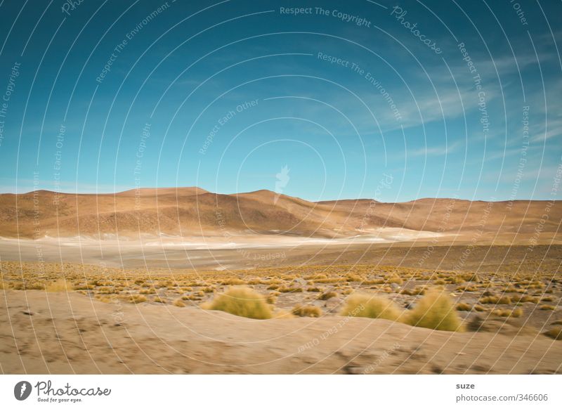 Spuren im Sand Ferien & Urlaub & Reisen Abenteuer Sommer Umwelt Natur Landschaft Urelemente Erde Luft Himmel Horizont Klima Wetter Schönes Wetter Gras Hügel