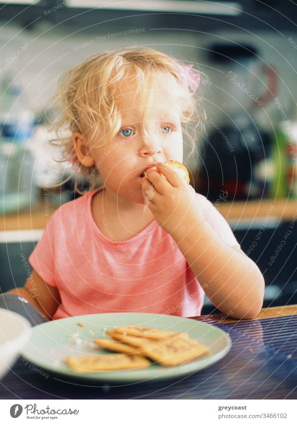 Porträt eines kleinen Mädchens mit zerzaustem blonden Haar beim Frühstück in der Küche Kind essen Kleinkind Baby Mahlzeit Morgen heimwärts Brötchen Gebäck Keks