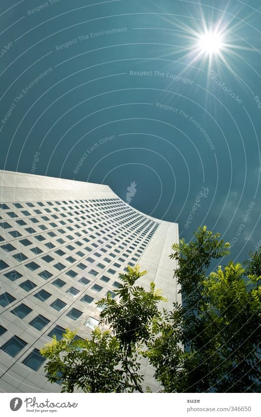 Erwachsen Sonne Haus Arbeit & Erwerbstätigkeit Arbeitsplatz Büro Business Umwelt Himmel Wolken Wetter Schönes Wetter Baum Hochhaus Bankgebäude Bauwerk Gebäude