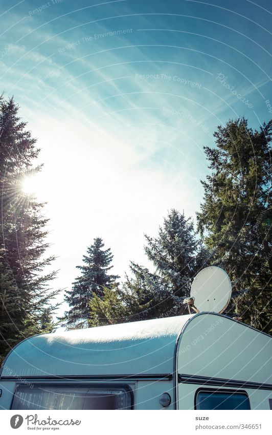 Empfangsbestätigung Erholung Freizeit & Hobby Camping Sommer Sonne Umwelt Natur Pflanze Himmel Schönes Wetter Baum Wald Satellitenantenne Wohnwagen Anhänger alt