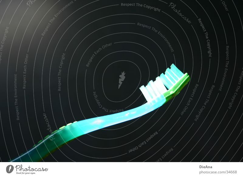 erleuchtet Borsten Zahnpflege Reinigen Sauberkeit rein erleuchten grün weiß dunkel Stil Häusliches Leben Bürste Mund Lampe blau schwarz hintergrund