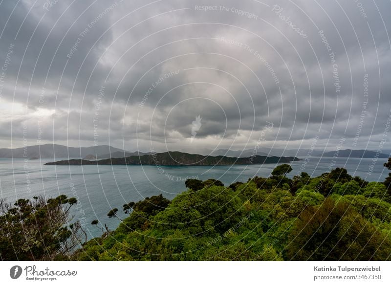 Queen Charlotte Sound in New Zealand Tag Außenaufnahme Farbfoto Menschenleer friedlich natürlich Tourismus Ferien & Urlaub & Reisen außergewöhnlich ästhetisch