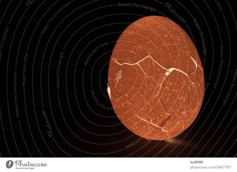 Riss in der Schale - Ei mit Beleuchtung Hühnerei Eierschale Rissbildung Linie Osterei Zusammenhalt Zickzack Experiment Licht Kunstlicht kaputt nah Muster