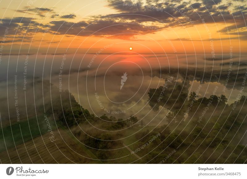 Beeindruckender Sonnenaufgang über einem nebligen See, Moment purer Natur. Nebel Hintergrund glühen Baum Wasser orange Sommer Himmel schön Landschaft Ansicht