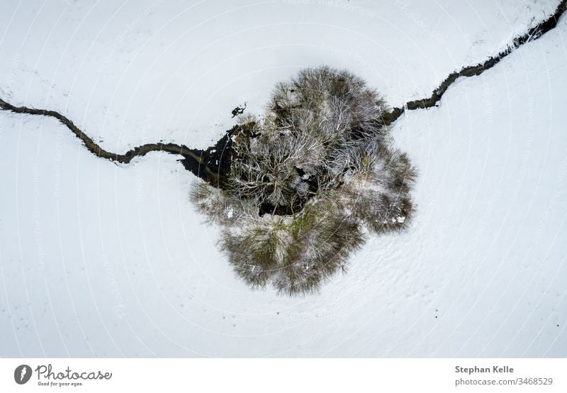 Luftperspektive auf einen einzelnen Baum und ein überquerendes Flüsschen in einer winterlich verschneiten Draufsicht. Winter Schnee Single Fluss Bach allein