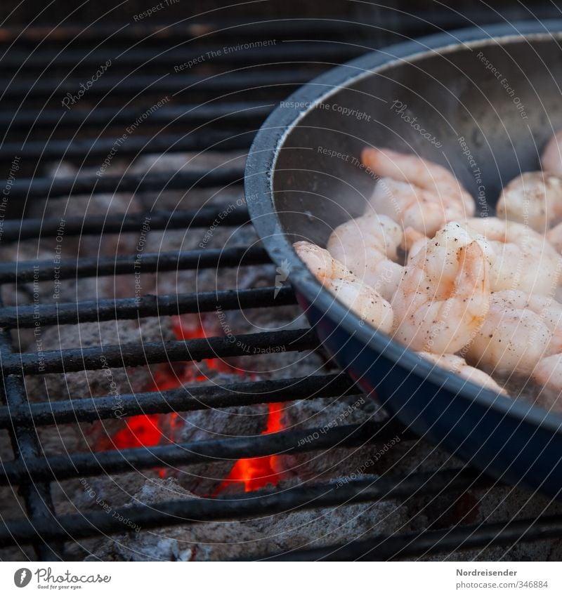 Seafood Lebensmittel Meeresfrüchte Ernährung Asiatische Küche Pfanne Camping Gastfreundschaft rein Garnelen Grillen Grillrost Grillkohle Grillsaison Holzkohle