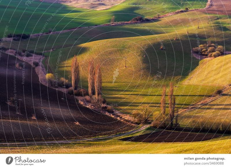 Detail einer ländlichen Landschaft in der Region Turiec, Slowakei. Slowakische Republik Bereiche Natur Detailaufnahme grün Stromleitung unbefestigter Weg Baum