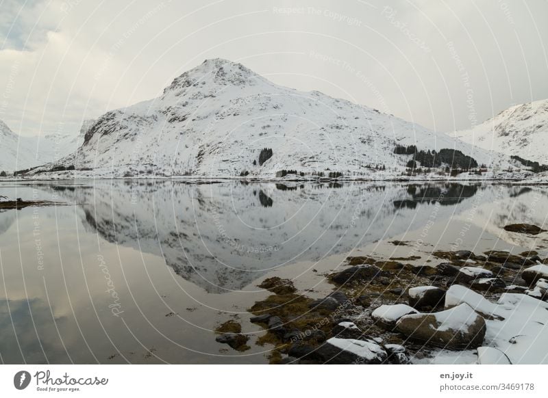 Schneebedeckter Berg mit Spiegelung in Fjord Lofoten Norwegen Skandinavien Wasser Kälte Kalt Winter Eis Frost Landschaft Winterlandschaft Außenaufnahme Natur