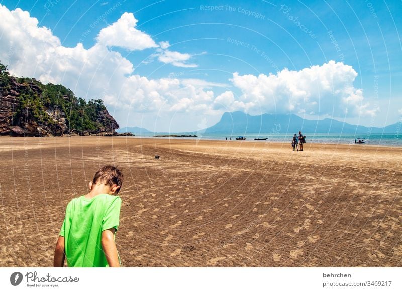 muschelsucher Kontrast Licht Tag Außenaufnahme Farbfoto Asien Fernweh träumen beeindruckend Sarawak bako nationalpark Malaysia Borneo fantastisch