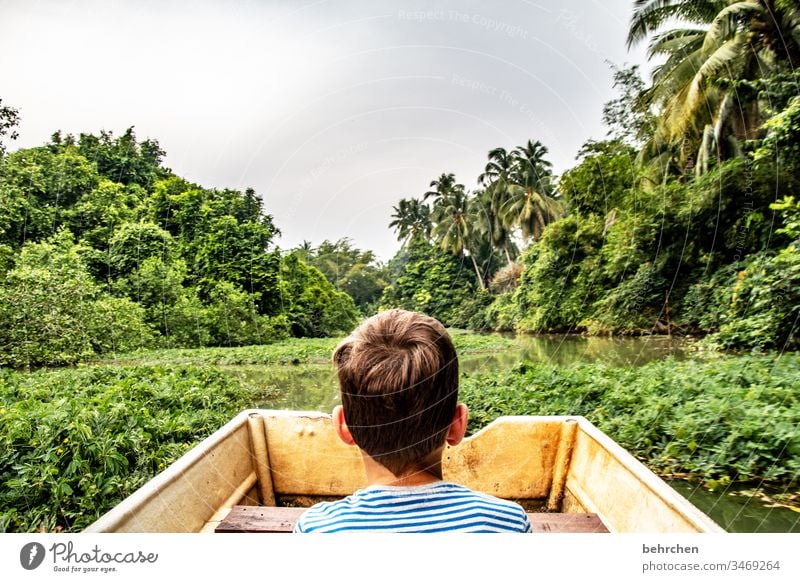 abenteurer und weltentdecker Ferien & Urlaub & Reisen Asien Ferne Abenteuer Ausflug Urwald Tourismus Freiheit fantastisch Fernweh außergewöhnlich Malaysia