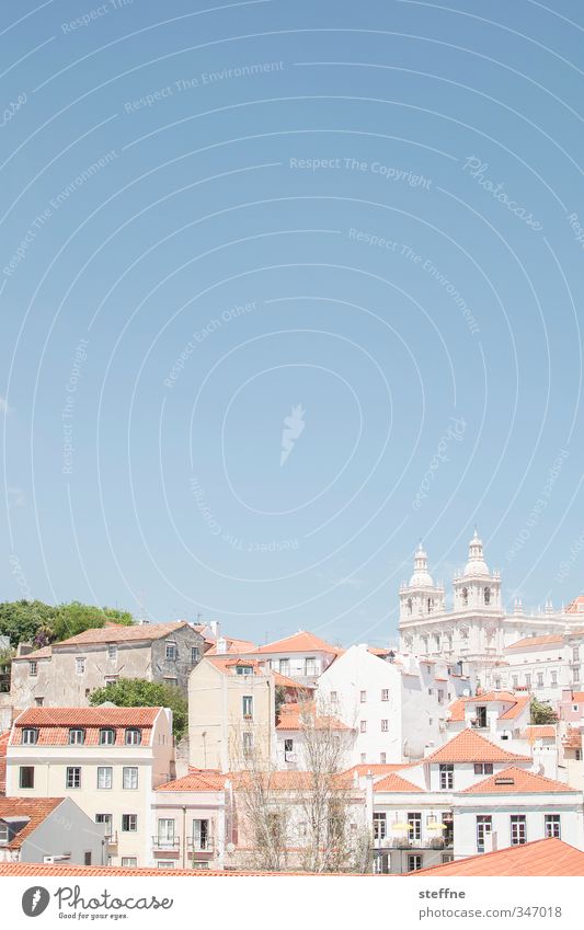 Liebe Urlaubsgrüße, Lisa (Bonn) Himmel Wolkenloser Himmel Frühling Sommer Schönes Wetter Baum Lissabon Portugal Hauptstadt Altstadt Haus Kirche ästhetisch Licht