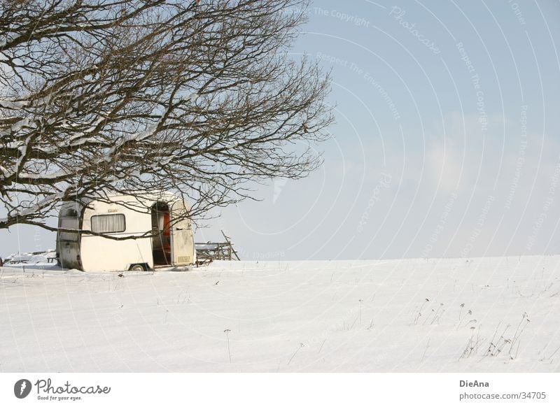 Winter Camping Wohnwagen kalt Baum Februar weiß Wohnmobil Natur Häusliches Leben Schönes Wetter Schnee Ast Himmel blau automobile camper cold february sunny