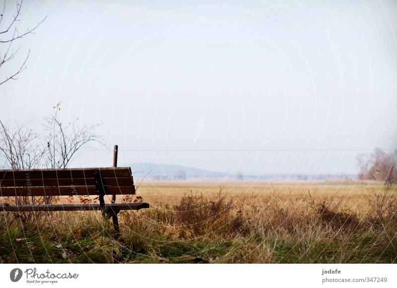 Schöne Aussichten Umwelt Natur Landschaft Himmel Herbst Gras Feld braun Bank pause machen Erholung hinsetzen Landkreis Teltow-Fläming Landwirtschaft Pause