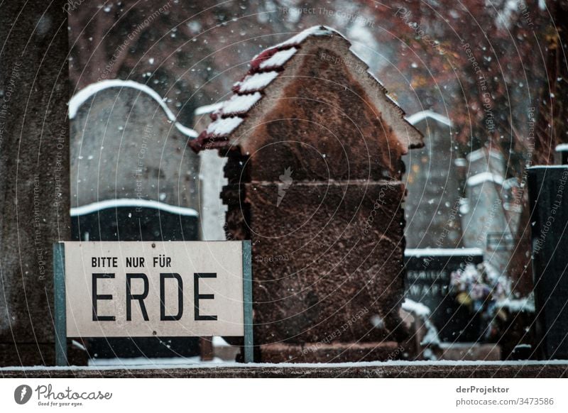 Friedhof im Winter in Wien Gefühle Abschied Engel sterben Tod Park Gedenken Leidenschaft Wahrheit Ehrlichkeit authentisch standhaft Statue Stein Farbfoto