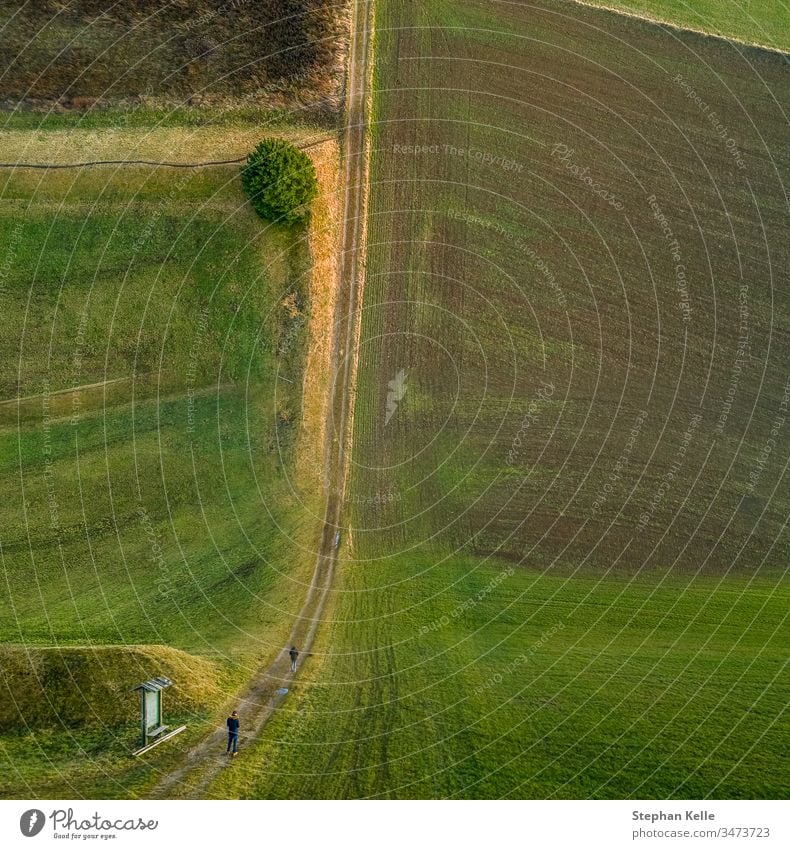 Drohnentäuschungsbild eines Mannes, der einen Baum im Stil einer Einführungsansicht beobachtet. Gründung Natur besondere Ansicht männlich Lifestyle Stehen Wald