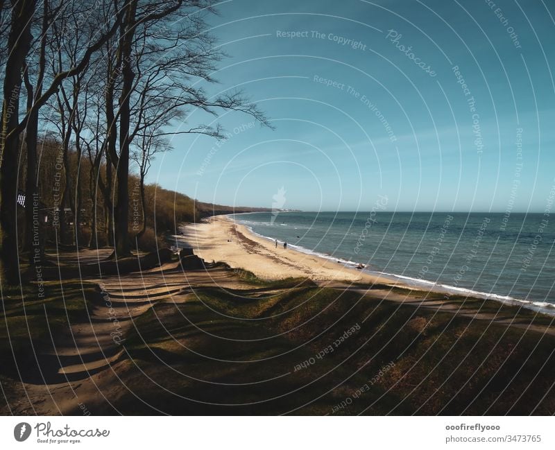 Strand und Küstenwälder an der  Ostsee Frühling Meer Sand Wasser Horizont Natur