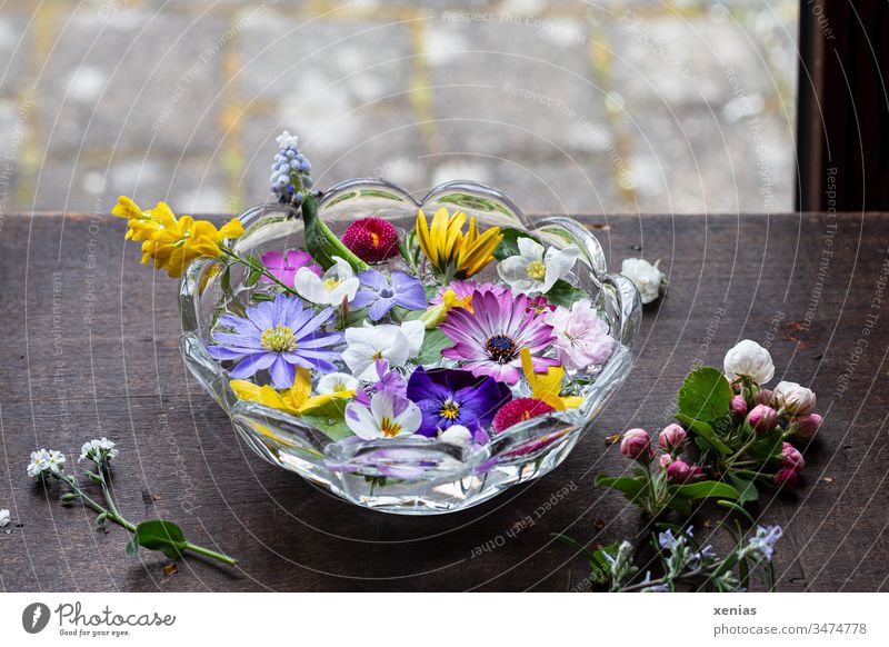 hier riecht´s doch nach... frühlinghaftes Potpourrie aus Blüten in einer Wasserschale steht am Fenster Blumen Holztisch Anemone Glasschale Frühling Apfelblüte