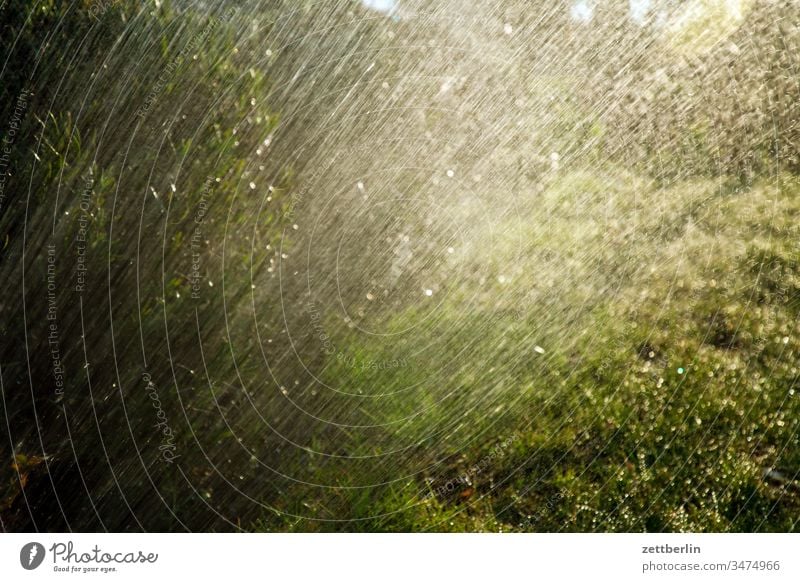 Rasersprenger frühjahr frühling natur urban garten schrebergarten kleingarten rasensprenger regen beregnung gras wiese wasser tropfen nass menschenleer