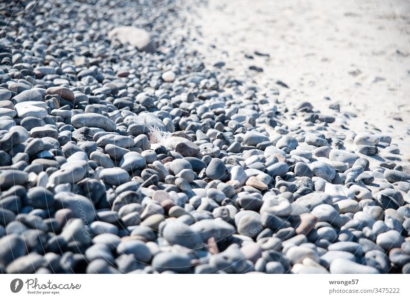 Ein Wall aus Feuersteinen an einem Strandabschnitt der Insel Rügen Steinwall Ostsee Meer Ferien & Urlaub & Reisen Küste Mecklenburg-Vorpommern Ostseeinsel