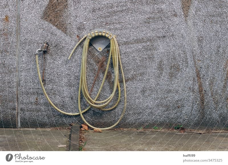 Wasserhahn mit Wasserschlauch auf Halterung an einer Wand Schlauch Gartenschlauch gelb nass Werkstatt Arbeitsgeräte Sauberkeit Reinigen Dienstleistungsgewerbe