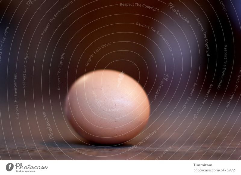 Das Ei ist völlig am Boden Hühnerei Eierschale Holzboden Lebensmittel Ernährung Menschenleer Innenaufnahme braun Licht Schatten Schwache Tiefenschärfe Ostern