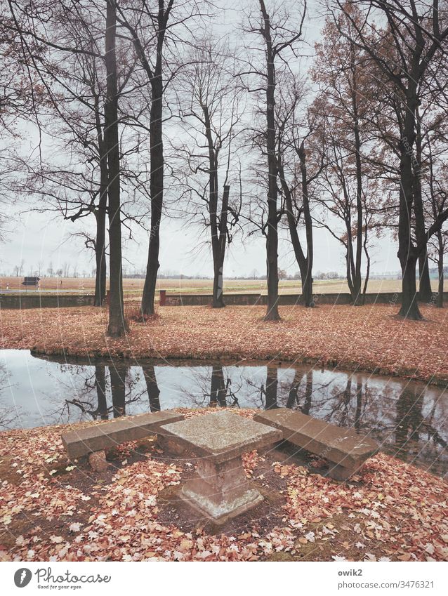 Raststätte Park Bäume Laub Herbstlaub gefallen Kanal Wasser Reflexion & Spiegelung Horizont Stein Bank Tisch Ruhe Idylle Schmochtitz Bischof-Benno-Haus