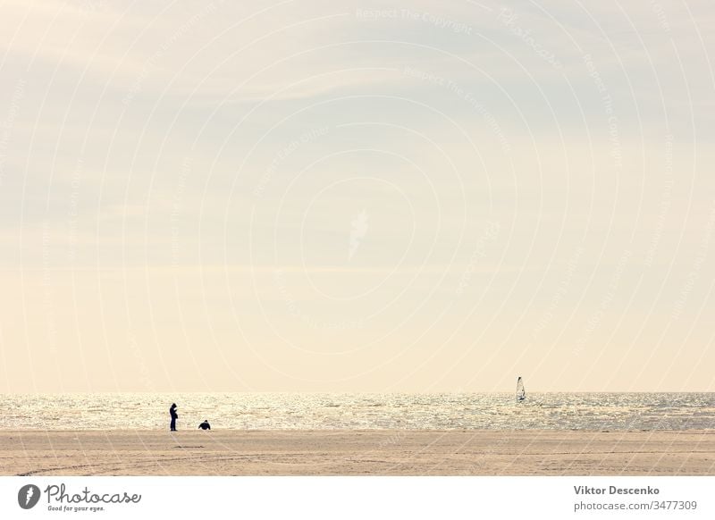 Frühlingsspaziergänge am Ostseestrand Hintergrund Strand abstrakt Wasser Kind Person altehrwürdig Paar Sommer Mann Natur Sonne Sand reisen Landschaft Küste