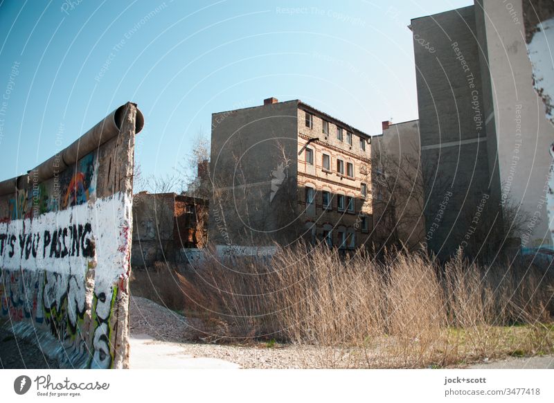 Geschichte einer Mauer Straßenkunst Wort authentisch Zahn der Zeit Vergänglichkeit Spray Fassade fauna Berliner Mauer Graffiti Hinterhaus Brandmauer lost places