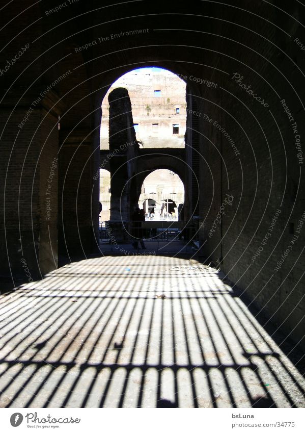 Einblick Colloseum Rom antik Ruine Spielen Gitter Italien Bekanntheit Bauwerk Kunst Architektur Arena Sehenswürdigkeit