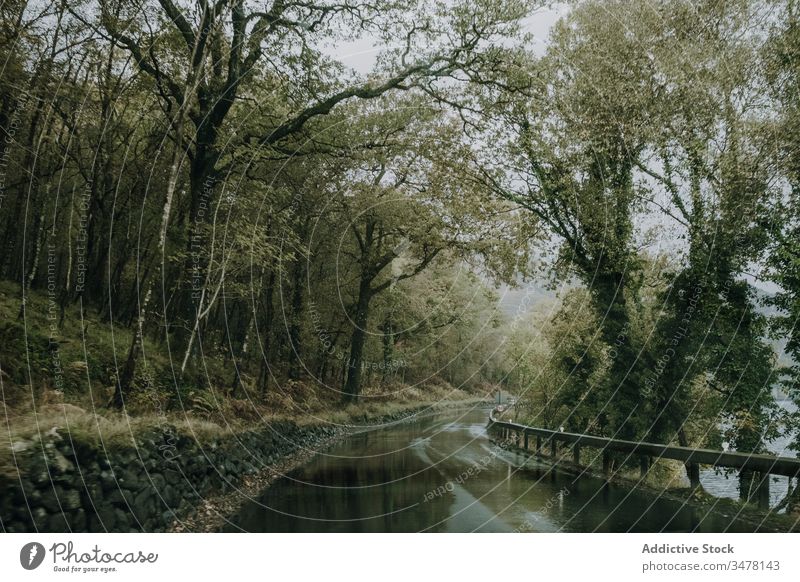 Landstraße zwischen Wald und Bergen Straße Berge u. Gebirge bedeckt trist wolkig nass Baum Kurve Landschaft Asphalt grün Ast Natur reisen Ausflug Schottland