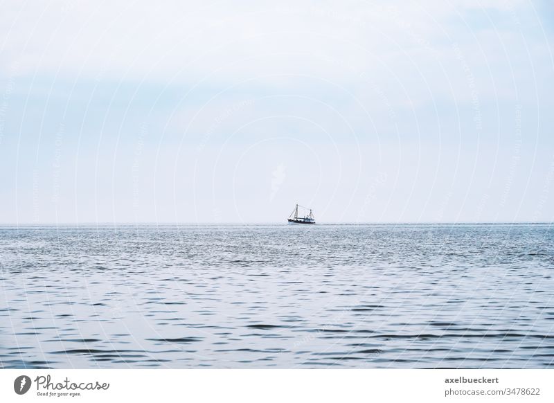 entfernter Krabbenkutter auf der Nordsee Boot Schiff Meer Krabbenfischer Fischen Wasser Deutschland Fischereiwirtschaft Ruhe Natur blau Trawler Garnelenfänger