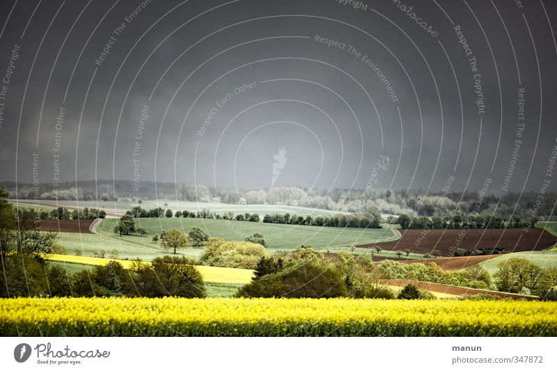 Frühling 2013 Landwirtschaft Forstwirtschaft Natur Landschaft Himmel Wolken Gewitterwolken Horizont Klima Wetter schlechtes Wetter Wind Sturm Regen Nutzpflanze