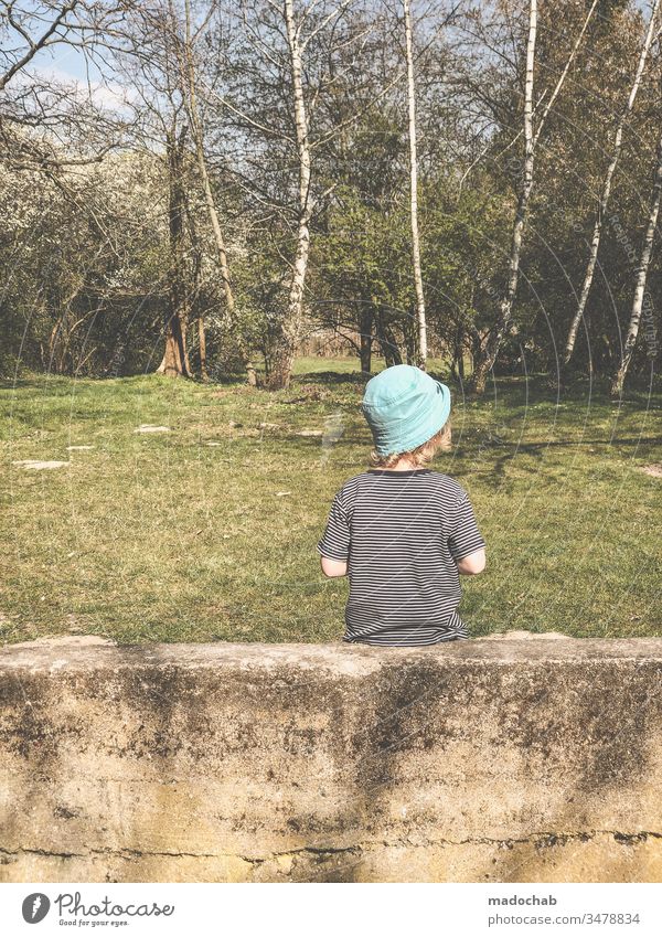 Kleine Wanze Kind Junge sitzen Mauer Birke Sommer Mensch Baum Natur Tag Kindheit 3-8 Jahre Leben Umwelt Außenaufnahme beobachten 1 Wald Ausflug Kleinkind