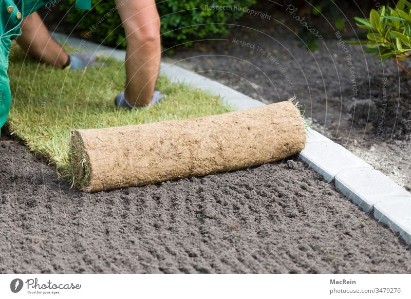 Rollrasen anlegen Außenaufnahme erde fertigrasen Garten gartenbau gartengestaltung Gras Grasnabe Grün landschaftsbau landschaftsgärtner mutterboden Natur pflege