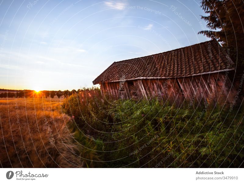 Ländliche Landschaft mit schäbiger Scheune bei Sonnenuntergang ländlich Feld hölzern alt verwittert Herbst Blauer Himmel Haus Gebäude Natur friedlich malerisch