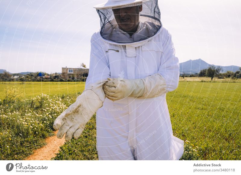 Imker mit Schutzhandschuhen im Feld stehend Handschuh behüten Uniform Bienenkorb Arbeit vorbereiten angezogen professionell Gras grün Tracht Job weiß Sicherheit