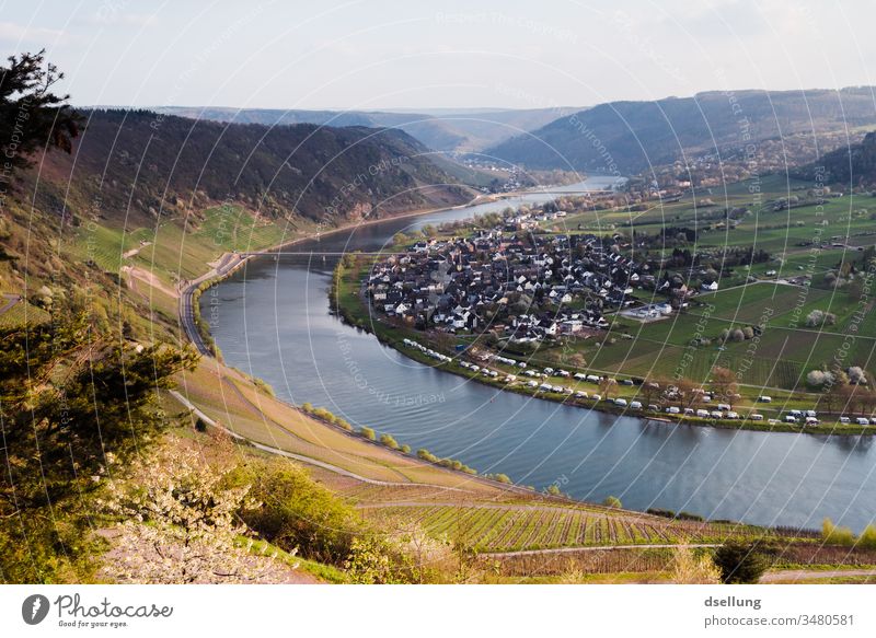 Blick über grüne Weinberge an der Mosel, die beginnen zu sprossen Freiheit panorama Umweltschutz Klimaschutz einladend Genuss genießen bewundern Überblick