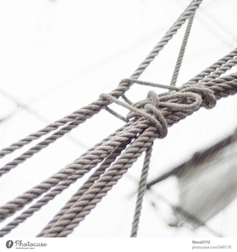 doppelt gemoppelt... Wassersport Segeln Segelboot Segelschiff Segelurlaub Schifffahrt Bootsfahrt Fischerboot Sportboot Wasserfahrzeug stark Knoten Knotenpunkt