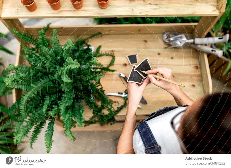 Gärtner schreibt auf Etiketten in der Nähe der Pflanze Frau Garten kennzeichnen schreiben Tisch Arbeit Botanik Hobby Topf Gartenbau Job Flora kultivieren