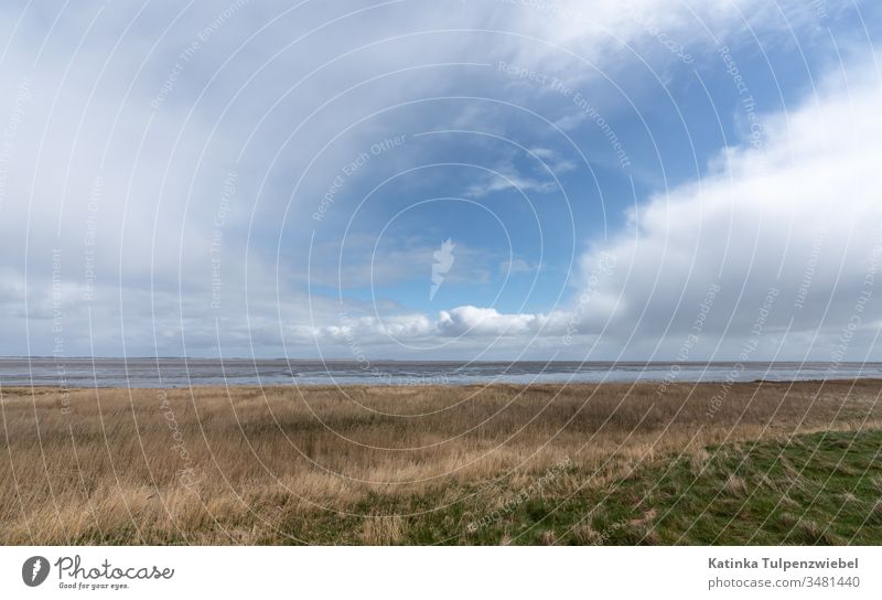 Das Wattenmeer, in der Ferne Föhr, die Halligen Langeness und Hooge Hallig Langeness Ebbe Natur Landschaft Unesco Weltnaturerbe UNESCO Einsamkeit