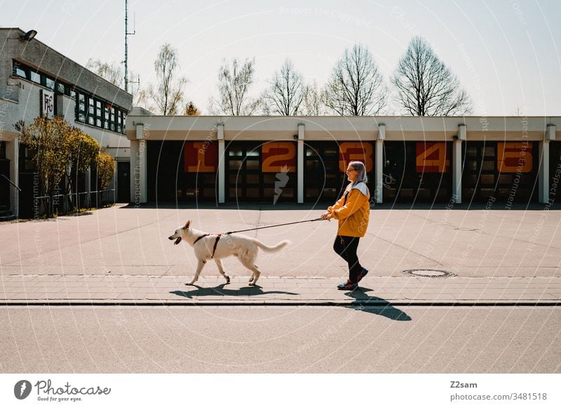 Hund geht mit Mädchen gassi hund schäferhund haustier gassi gehen spaziergang frühling sommer sonne zahlen feuerwehr ortschaft ziehen straße leine leinenzwang