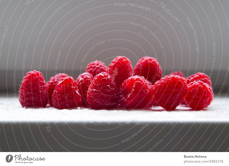 Frisch geerntete Himbeeren: eine Köstlichkeit! Früchte Beeren Sommer Ernte frisches obst frische früchte Hochgenuss Gesundheit Vitaminbombe Lebensmittel