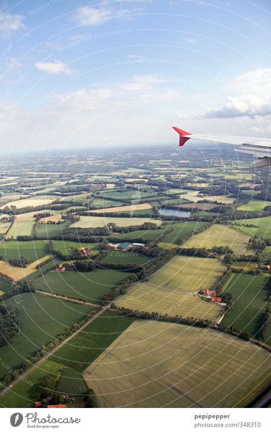 feldbegrenzungsfugen Ferien & Urlaub & Reisen Tourismus Ausflug Sommer Natur Landschaft Pflanze Tier Erde Himmel Schönes Wetter Baum Gras Sträucher Wiese Feld