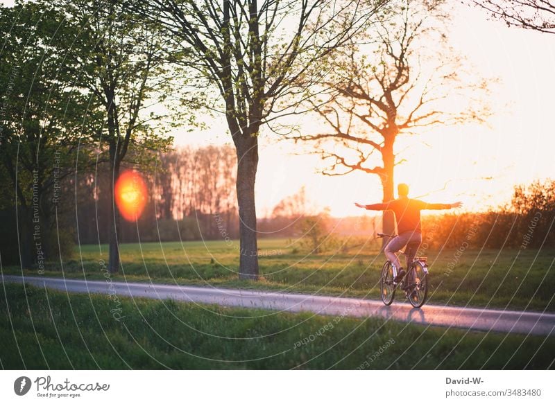 Ich kann fliegen Mann fährt mit dem Fahrrad Natur Sonnenuntergang Sonnenlicht freihändigfahren Freiheit Schwerelosigkeit schwerelos Fahrradfahren Fahrradtour